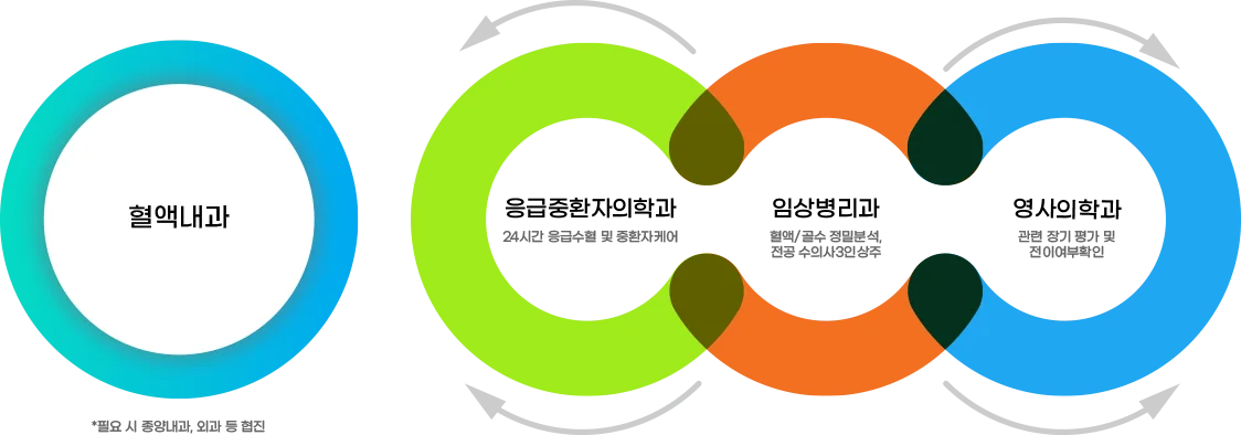 혈역내과(필요 시 종양내고, 외과 등 협진), 임상병리과(혈액/골수 정밀분석, 전공 수의사 3인 상주 ) → 영사의학과(관련 장기 평가 및 전이여부확인), 임상병리과 → 응급중환자의학과(24시간 응급수혈 및 중환자케어)